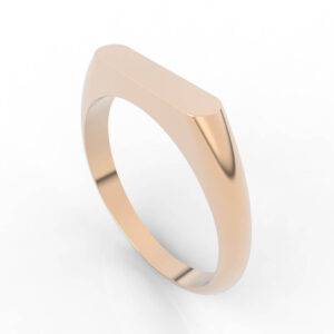 signet ring jewelry 3d models files RG-NP-NG-FS-0002