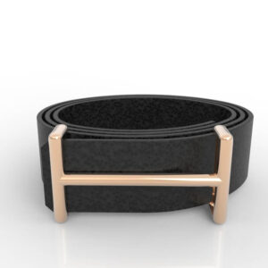 H Buckle Belt Gold BK-NP-NG-FS-0003